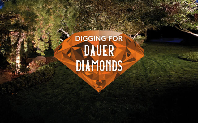 Digging For Dauer Diamonds