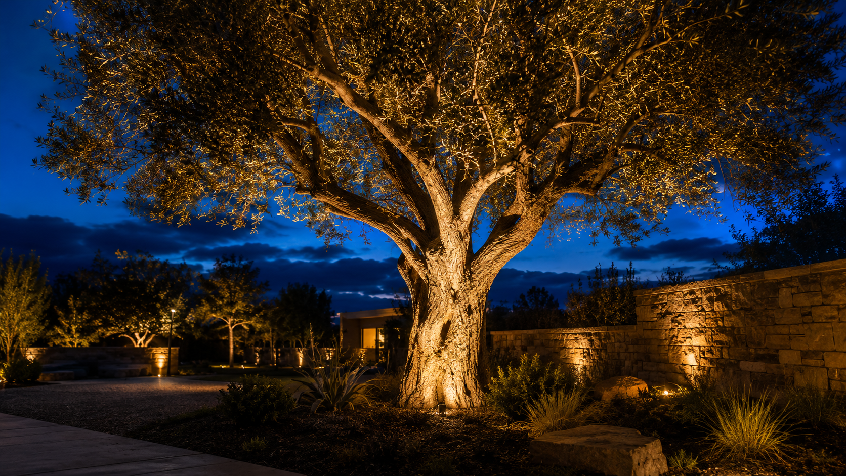 Landscape uplighting on a tree using an in-ground well light at dusk